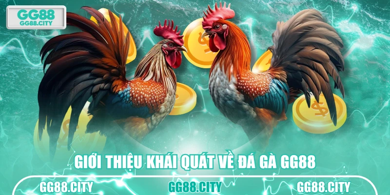 Giới thiệu khái quát về đá gà GG88