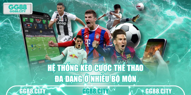 Hệ thống kèo cược thể thao đa dạng ở nhiều bộ môn