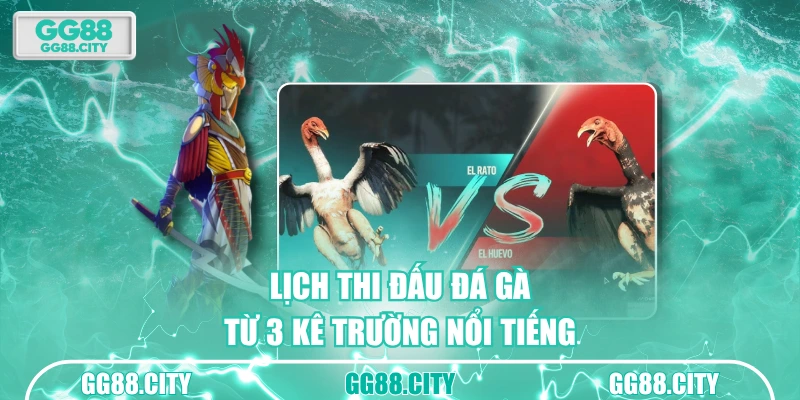 Lịch thi đấu đá gà từ 3 kê trường nổi tiếng