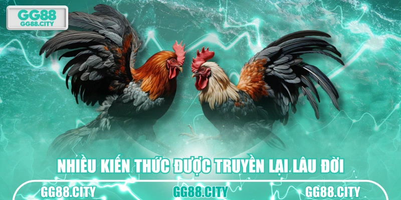 Nhiều kiến thức được truyền lại lâu đời
